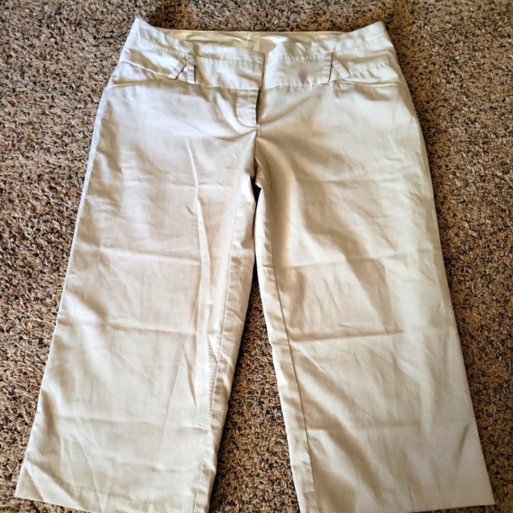 Studio Y Dressy Capris